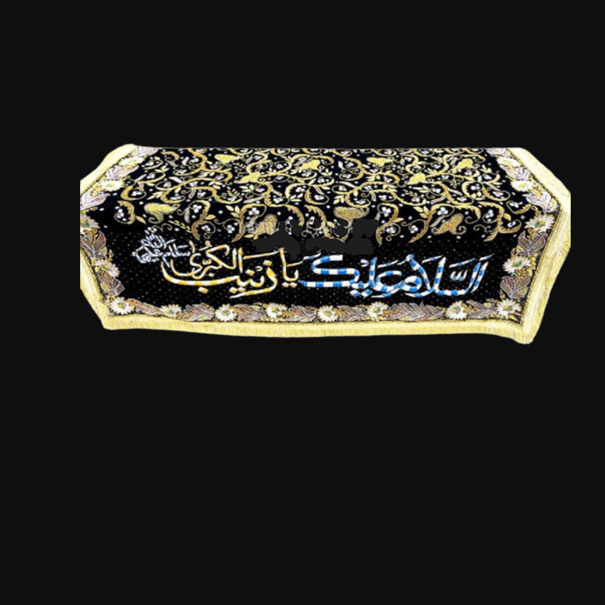Taboot Cover Bibi Zainab